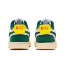 Кросівки Nike Court Vision Low Sail Pro Green FD0320-133 Бежевий