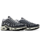 Кроссовки Nike Air Max Plus Iron Grey DZ2655-001 Черный/серый