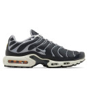 Кроссовки Nike Air Max Plus Iron Grey DZ2655-001 Черный/серый