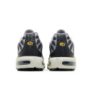 Кроссовки Nike Air Max Plus Iron Grey DZ2655-001 Черный/серый