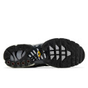 Кроссовки Nike Air Max Plus Iron Grey DZ2655-001 Черный/серый