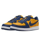 Кросівки Nike Terminator Low Michigan FJ4206-700 Білий/синій