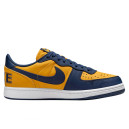 Кросівки Nike Terminator Low Michigan FJ4206-700 Білий/синій