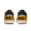 Кросівки Nike Terminator Low Michigan FJ4206-700 Білий/синій