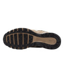 Кросівки Nike P-6000 Hangul Day FQ8243-025 Бежевий