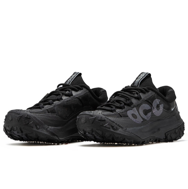 Nike ACG Mountain Fly 2 Gore-Tex Black Grey