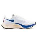 Кросівки Nike Air Zoom Pegasus 37 White Blue CQ9908-100 Білий/синій