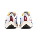 Кросівки Nike Air Zoom Pegasus 37 White Blue CQ9908-100 Білий/синій