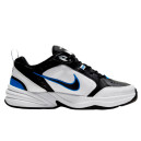 Кроссовки Nike Air Monarch IV 415445-002 Разноцветные