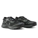 Кросівки Nike Pegasus Trail 3 Gore-Tex Triple Black DC8794-002 Чорний
