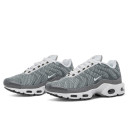 Кросівки Nike Air Max Plus Flat Pewter White DV7665-002 Сірий