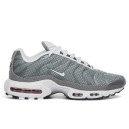 Кросівки Nike Air Max Plus Flat Pewter White DV7665-002 Сірий