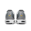 Кросівки Nike Air Max Plus Flat Pewter White DV7665-002 Сірий