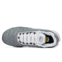 Кросівки Nike Air Max Plus Flat Pewter White DV7665-002 Сірий