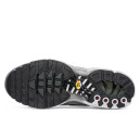 Кросівки Nike Air Max Plus Flat Pewter White DV7665-002 Сірий