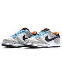 Кросівки Nike SB Dunk Low Pro Electric Pack FZ1233-002 Чорний/білий