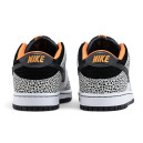 Кросівки Nike SB Dunk Low Pro Electric Pack FZ1233-002 Чорний/білий