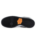 Кросівки Nike SB Dunk Low Pro Electric Pack FZ1233-002 Чорний/білий