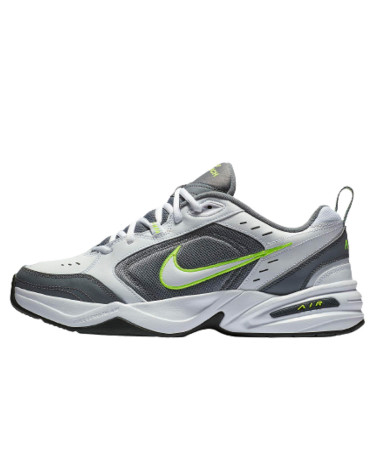 Кроссовки Nike Air Monarch IV 415445-100 Белый/серый