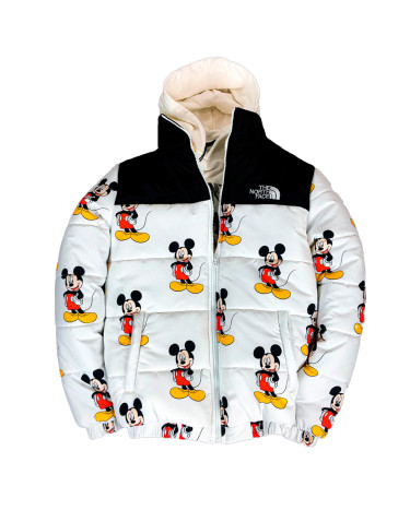 Верхняя одежда Пуховик Унісекс The North Face 1996 Retro Nuptse Jacket Разноцветные