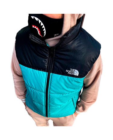 Верхняя одежда унісекс The North Face 1996 Retro Nuptse Vest Бирюзовый