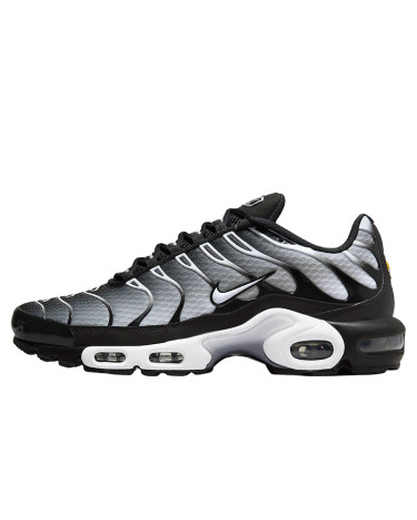 Кросівки Nike Air Max Plus Black White Gradient DM0032-003 Чорний/білий