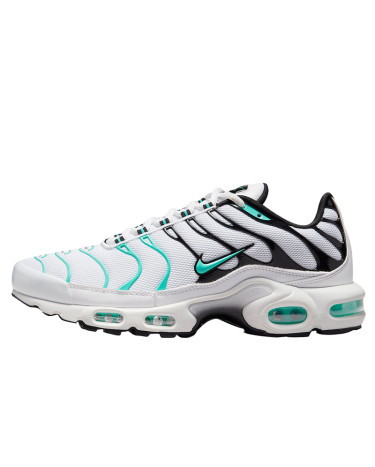 Кросівки Nike Air Max Plus TN White Mint Black 604133-148 Різнокольорові