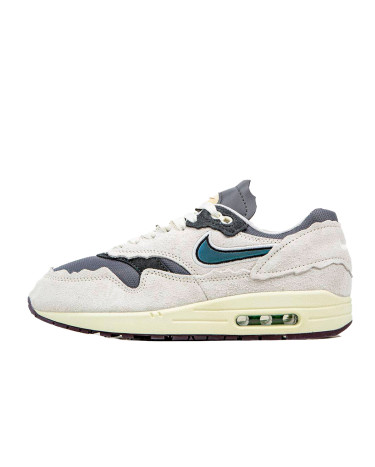 Кросівки Nike Air Max 1 Protection Pack Сірий