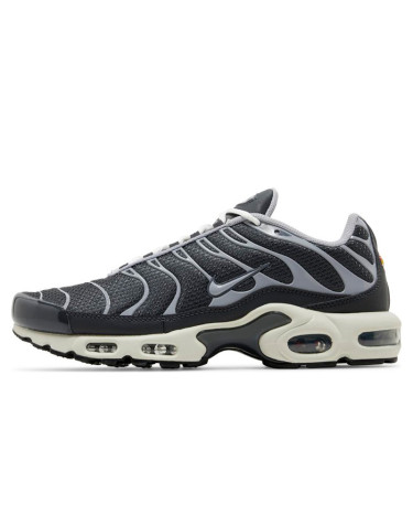 Кросівки Nike Air Max Plus Iron Grey DZ2655-001 Чорний/сірий