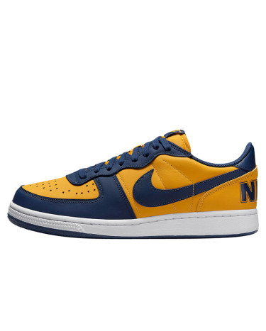 Кроссовки Nike Terminator Low Michigan FJ4206-700 Белый/синий