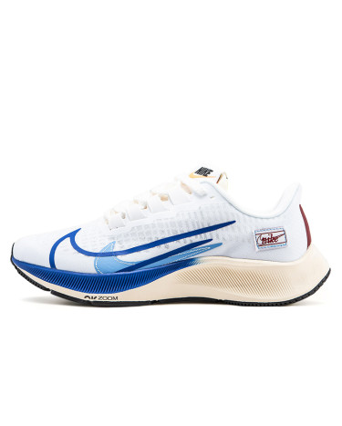 Кроссовки Nike Air Zoom Pegasus 37 White Blue CQ9908-100 Белый/синий