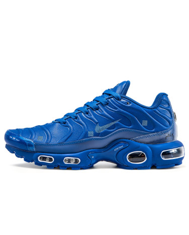 Кроссовки Nike Air Max TN Plus Blue Синий