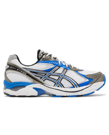Кросівки Asics GT 2160 Illusion Blue 1203A275-101 Різнокольорові