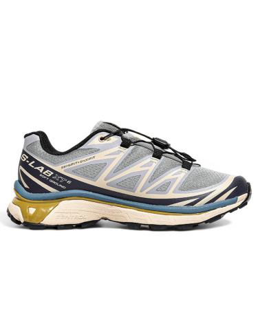 Кросівки Salomon XT-6 Advanced Dover Silver Beige Різнокольорові