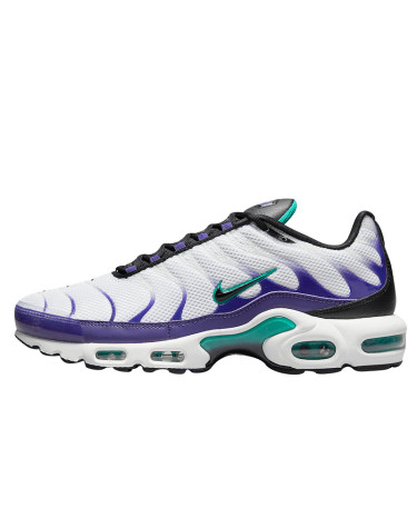 Кросівки Nike Air Max Plus Grape DM0032-100 Різнокольорові