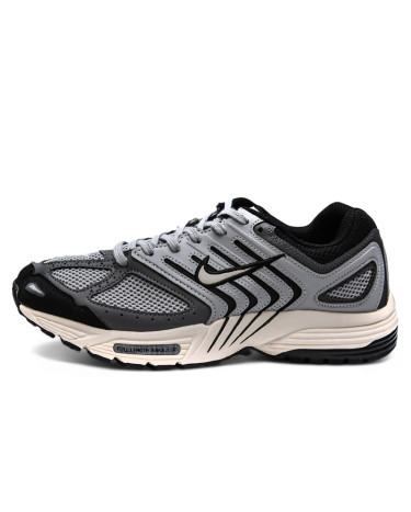 Кроссовки Nike Air Pegasus 2005 Grey Black Beige Серый