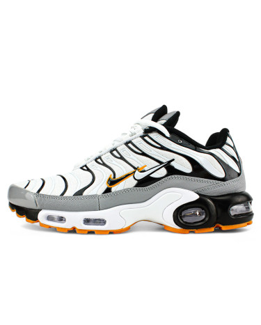 Кросівки Nike Air Max Plus TN Double Swoosh Mean Grey White Різнокольорові