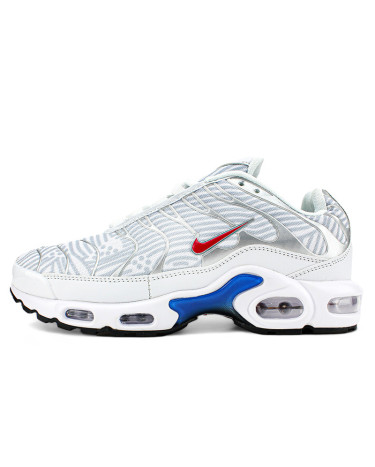Sneakers Nike Air Max Plus Euro Tour Particle Grey CW7575-001 White/gray