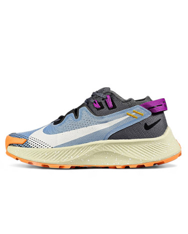 Кроссовки Nike Pegasus Trail 2 Thunder Blue CK4309-401 Разноцветные