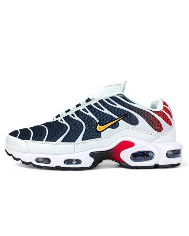 Кроссовки Nike Air Max TN Plus White Blue Red Разноцветные