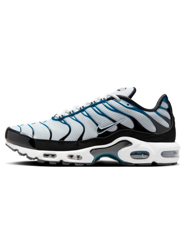 Кросівки Nike Air Max Plus Pure Platinum Court Blue FN6949-001 Різнокольорові