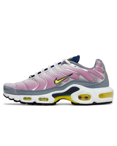 Кросівки Nike Air Max Plus Violet Dust High Voltage FN8007-500 Різнокольорові