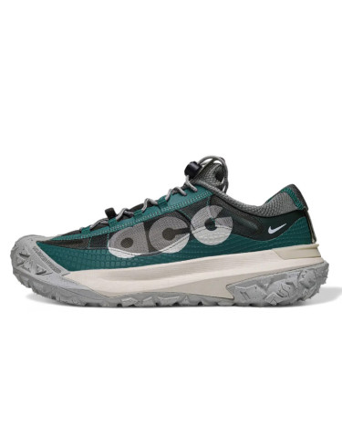 Кросівки Nike ACG Mountain Fly Low 2 Bicoastal DV7903-300 Чорний/зелений