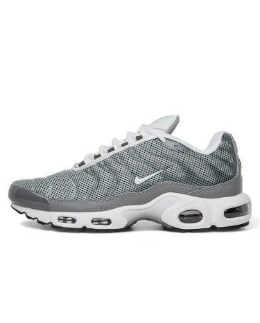 Кросівки Nike Air Max Plus Flat Pewter White DV7665-002 Сірий
