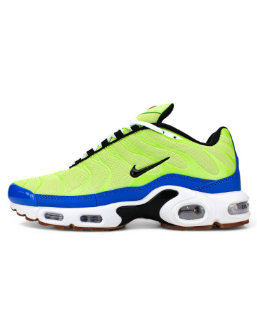 Кросівки Nike Air Max Plus Frank Rudy Ghost Green DZ0480-300 Різнокольорові
