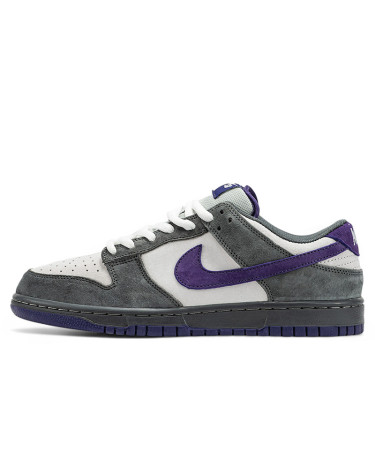 Кросівки Nike Dunk Low Pro SB Purple Pigeon 304292-051 Різнокольорові