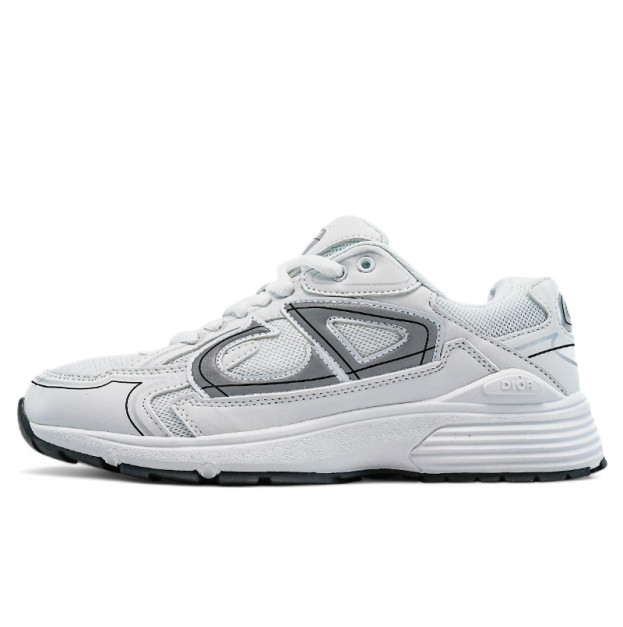 Dior B30 White Grey