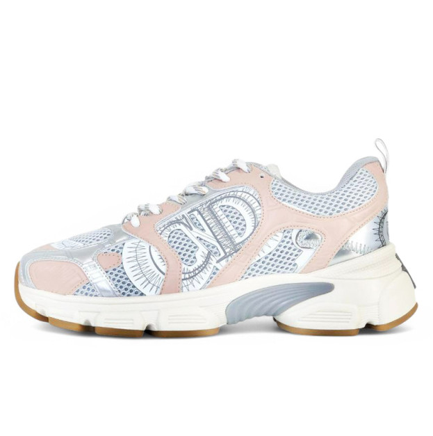 Dior Chrono Silver Pink