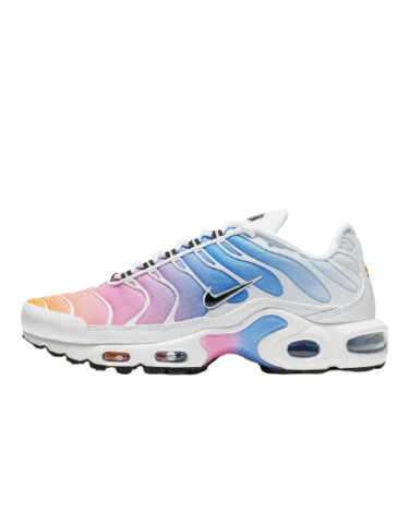 Кроссовки Nike Air Max Plus 605112-115 Разноцветные
