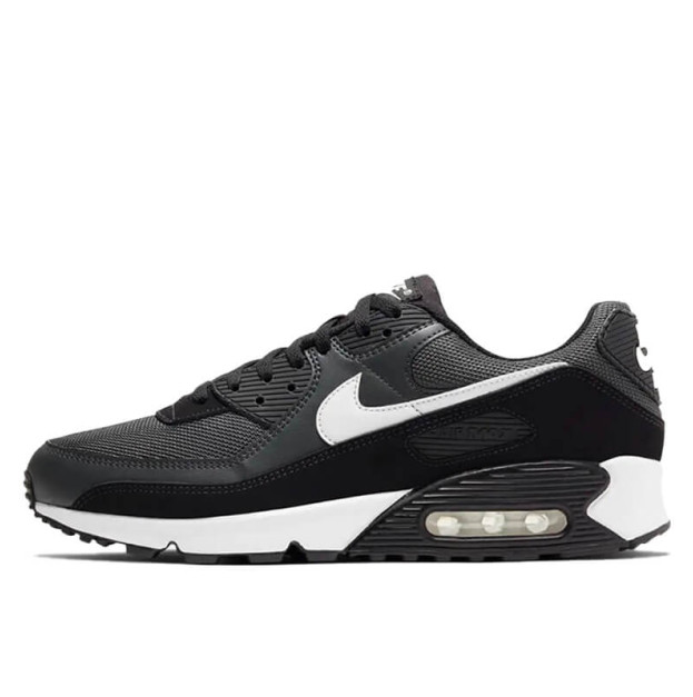 Nike Air Max 90 Iron Grey CN8490-002
